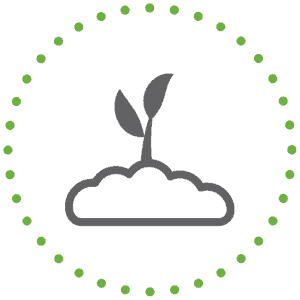 leaf and cloud graphic