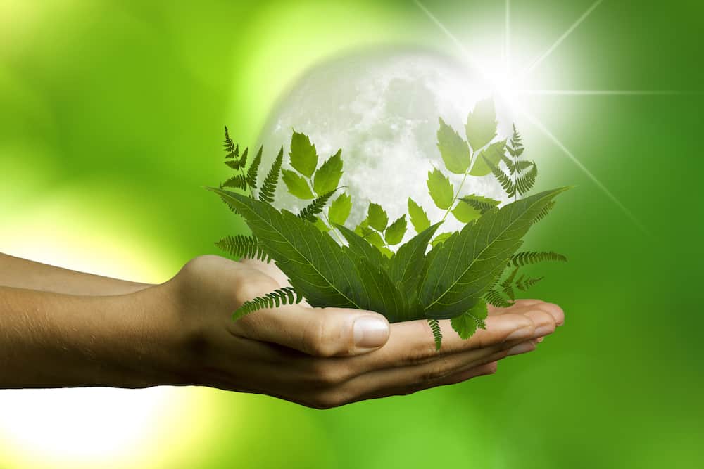 Hand Holding The Earth | How To Achieve Sustainability Program Goals with RouteSavvy