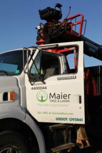 Arborist Ladder Truck | Tree Service Routing Software Case Study | RouteSavvy.com
