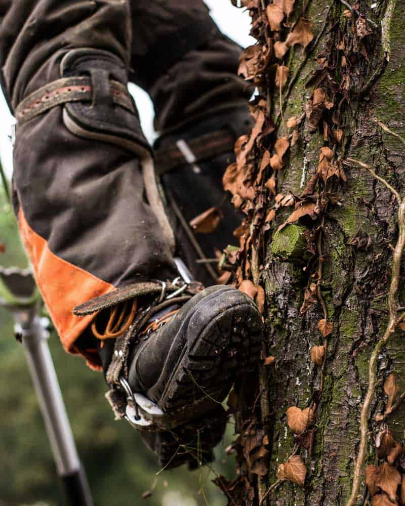 Arborist Boots Closeup | Tree Service Routing Software Case Study | RouteSavvy.com