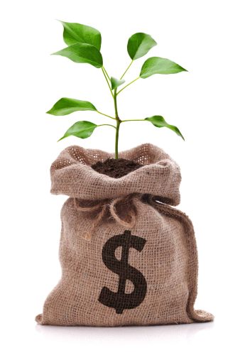 Money bag with dollar sign and money tree growing out of top isolated on white